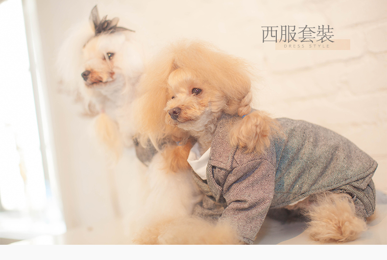 Grey twill phù hợp với quần áo chó quần phù hợp với quần áo mùa thu và mùa đông Teddy gấu Xiong Quần áo VIP Huayuan thú cưng quần áo - Quần áo & phụ kiện thú cưng quần áo cho mèo