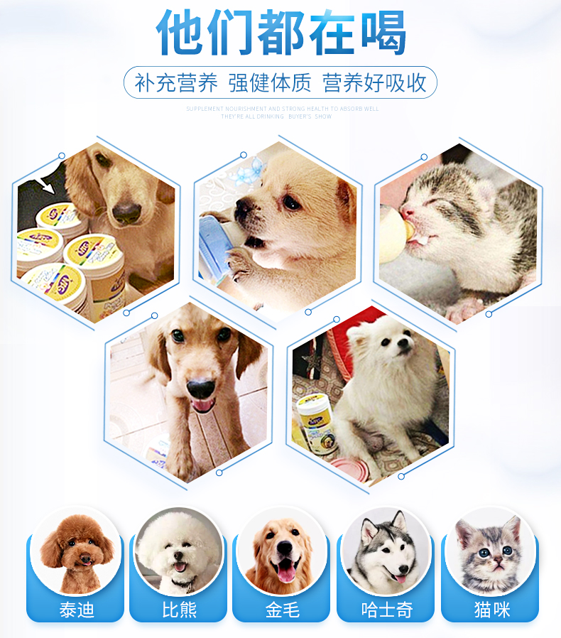 MAG dog dê sữa bột chó con pet sơ sinh mèo sữa lông vàng hơn gấu Teddy mèo mèo mèo con mèo đặc biệt - Cat / Dog Health bổ sung sữa bio cho mèo