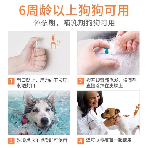 大宠爱 СОБАКОВОЙ ВЗЕРНЫЙ МАЛЕНЬКИЙ СОБАВИТЕЛЬНЫЙ ТЕДДИ