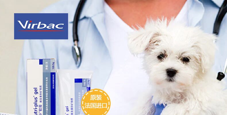 French Wick Nutrition Cream Chó Tail Bear Fighting Teddy Puppies Fattening Cats Mèo đặc biệt Sản phẩm y tế thú cưng bio milk cho mèo