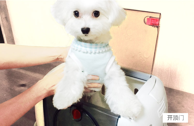 Alice pet dog xách tay ra khỏi lồng xe vận chuyển không khí Alice mèo bên ngoài hộp kiểm - Cat / Dog hàng ngày Neccessities Khay thức ăn cho mèo