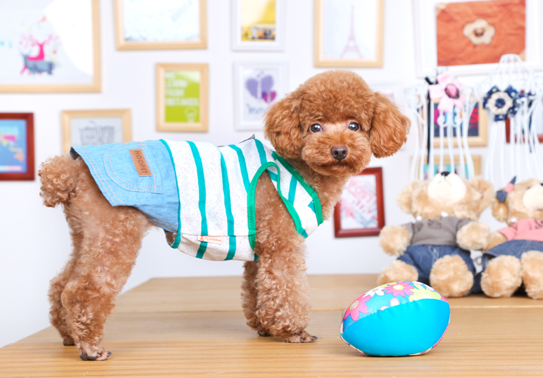 Chó cún quần áo mùa hè Teddy phần mỏng hơn Xiong Bomei Keji bốn chân nhỏ chó cưng mùa hè quần áo mùa hè - Quần áo & phụ kiện thú cưng bán đồ thú cưng