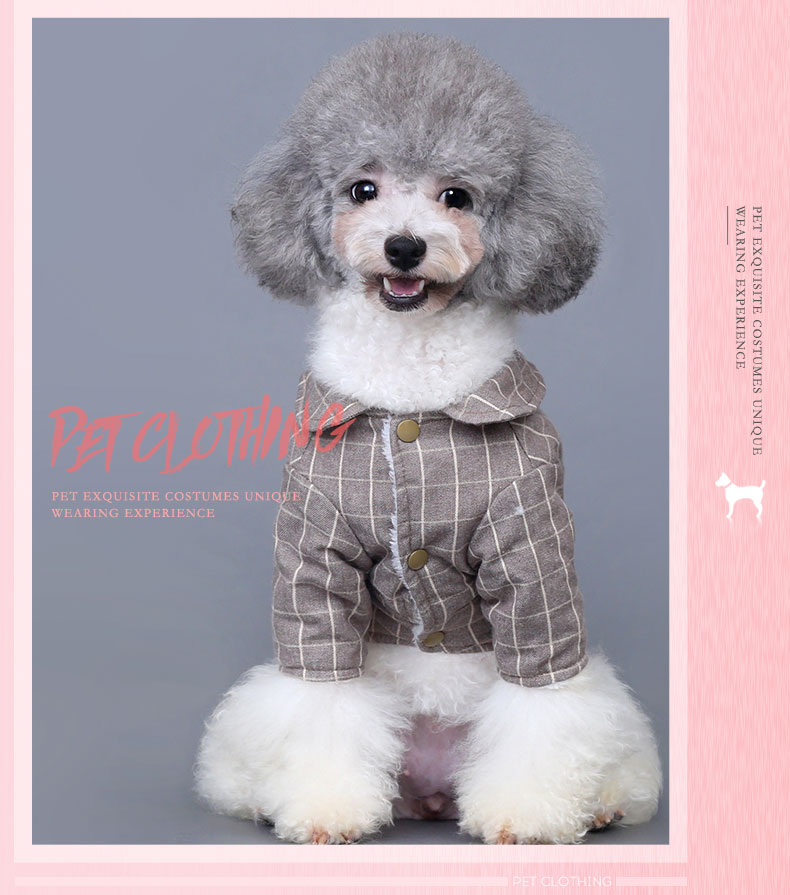 Quần áo cho chó quần áo mùa thu và mùa đông Teddy Bomei chú chó nhỏ quần áo thú cưng mỏng con chó con cộng với quần áo nhung dày hai chân - Quần áo & phụ kiện thú cưng áo chó con