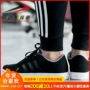 Giày da nam Adidas chính hãng giày da mùa xuân 2019 mới thấp giúp giày thoáng khí F34370 giày bitis nữ