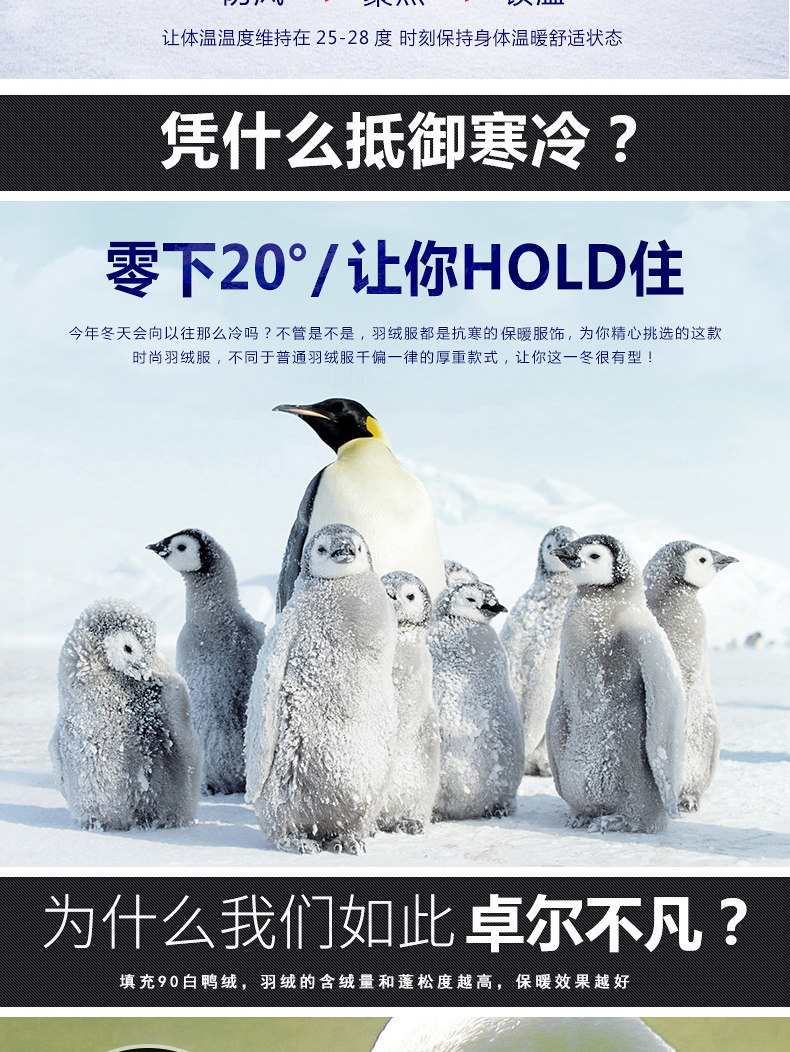 Blouson homme - Ref 3122744 Image 8