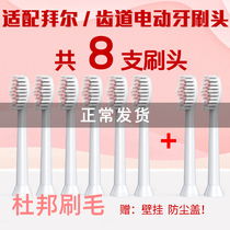 Suitable for Bayer electric toothbrush head X1X1splus X5X7X9X11 universal replacement tooth G1G3
