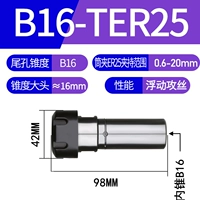 B16-TER25