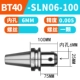 BT40-SLN6-100 (бесплатная доставка в Латинский регион)