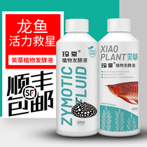 Mardou Laughing Grass Dragon Fish Vitality Recovery Fish Drug Probiotic Fish With Yogurt Water Group Nutrient Solution Vitamin Vitamin