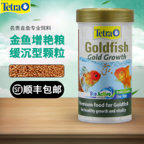 German Decry Gold Fish Feed Telion Sushi Sushi Tail Fish Eater Hair Color High Protein Growth Bulk Gold Fish Grain