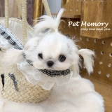 Оригинальная плетеная соломенная сумка для выхода на улицу, Южная Корея, кружевное платье, французский стиль