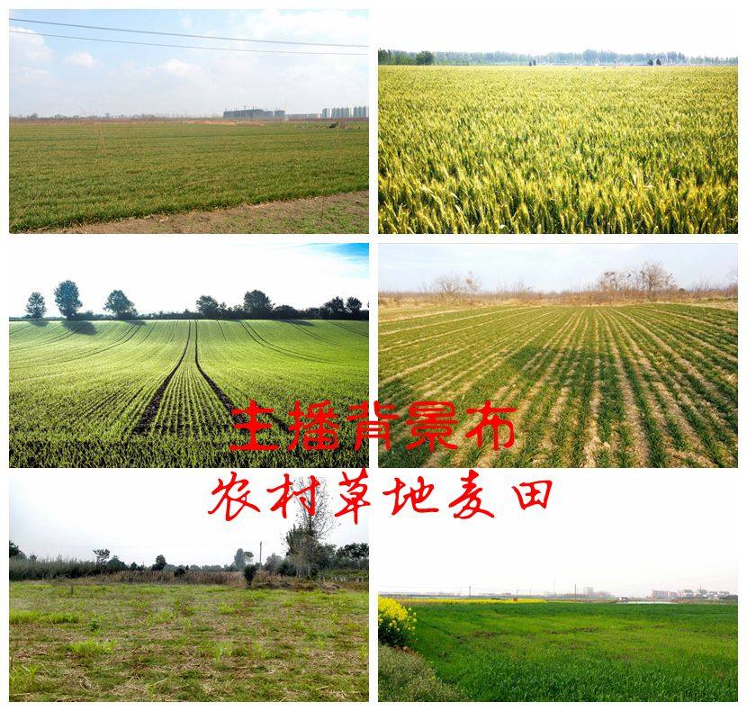 New net red fast hand shake main cast film photoshoot live background cloth 3d Solid rural wheat field meadow scenery