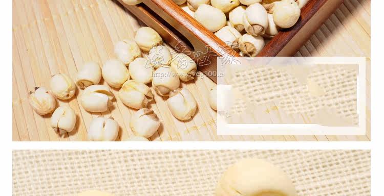 White Lotus JS_8.JPG