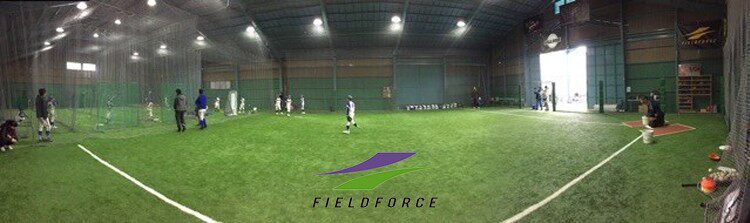 FIELDFORCE/FF бейсбол падать прием мяча один удар практика Качать обучение низ Заливая машина 
