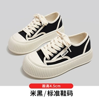 Темный ~ Учитывая универсальные туфли для хлеба [взрыв магазина]