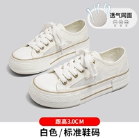 Белые [сетчатые женщины] k