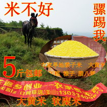 Rhubarb rice 2020 new rice farmhouse dry land native Shanxi specialty rhubarb rice porridge glutinous yellow rice premium 5kg