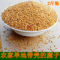 Haqu farmhouse with Shell millet rice child pillow bird food sore mattress cushion cushion millet cushion anti-bedsore elderly free mail