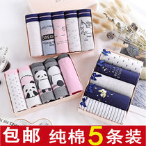 Junior high school female students 12-15 Big Boy cotton briefs 100% cotton 13-14-16-17 year-old shorts