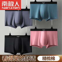 Antarctic underwear men mens boxer shorts head Cotton Junior High School students boys four-corner bottom pants summer thin