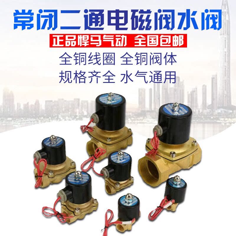 All copper two-way solenoid valve water valve 2W025-08 160-15 200-20 250-25 400-40 220V