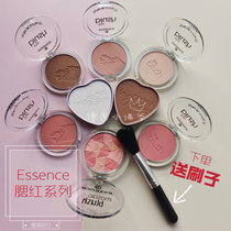 Spot Germany Import essence blush red fix Matt Matt Mosaic Control Oil Plant Extracts New
