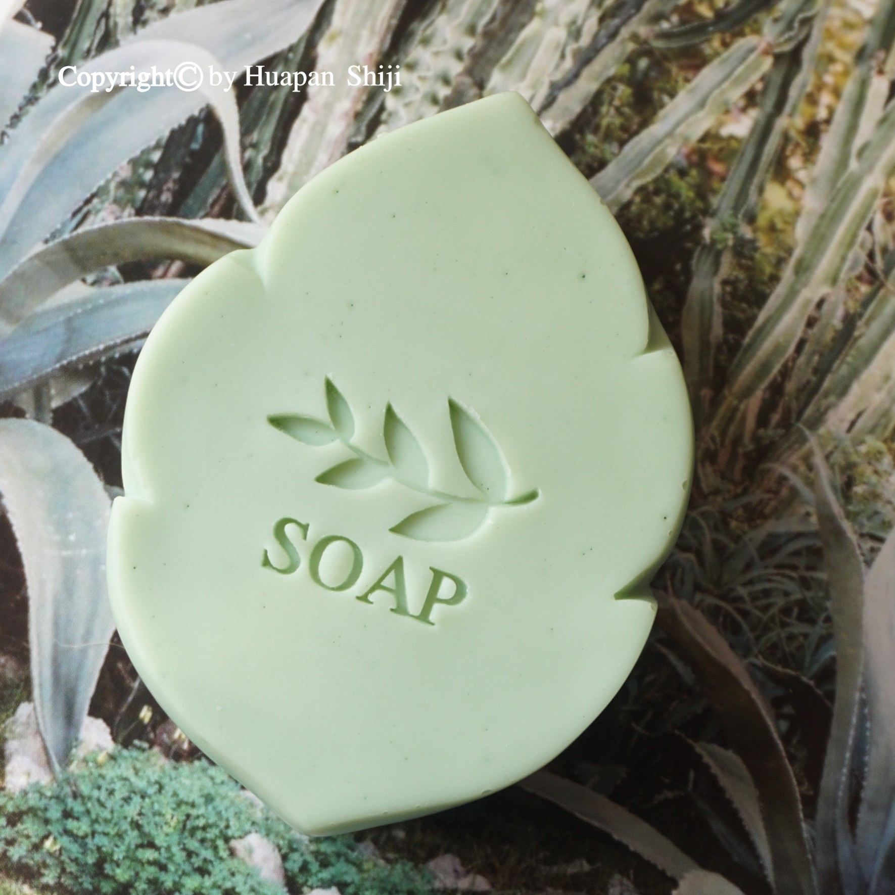 (HP2049) 3x3 SOAP leaf plant English word fine acrylic soap stamp