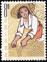 Special sale of 64 female members of the Peoples Commune (6-2) a complete product