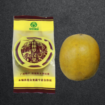 Guangxi Luo Han Guo Guilin specialty individually packaged low-temperature dehydrated special dried fruit Luo Han Guo tea