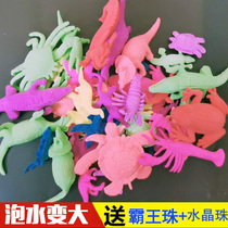 Bubble big beads water elf Spongebob inflatable animal stall toy childrens water raising water absorbing beads extra large dinosaur