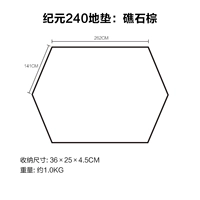 ERA 240 Dise Reef Palm