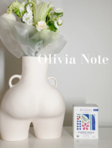 Spot RISHI TEA Organic blueberry wood hibiscus Bone Wood Fruits Plant Doctoral Tea without caffeine 15 Small packets