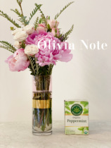 Spot Traditional Medicinals Refreshing Mint Tea Herbal Tea Decaffeinated 16 Packs