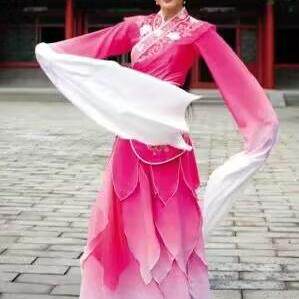 Zhen Yuan Jinghong Dance Costume Film and Television Costume Water Sleeve Dance Classical Han Dynasty Fairy Costume Dance Performance Costume Photography