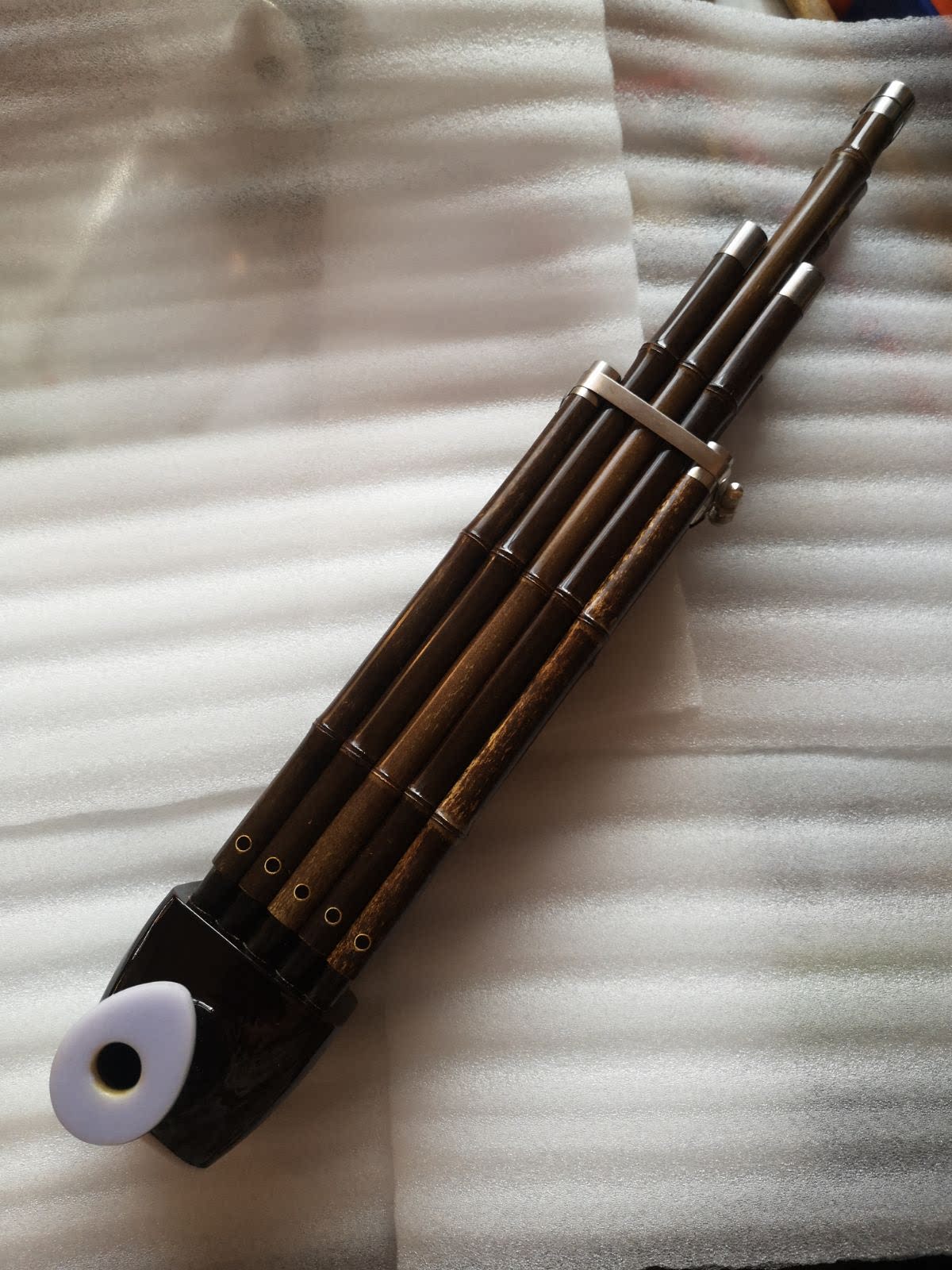 Sheng musical instrument set to be 15 spring professional wood fighting sheng bronze bucket sending spring wading head sheng bag