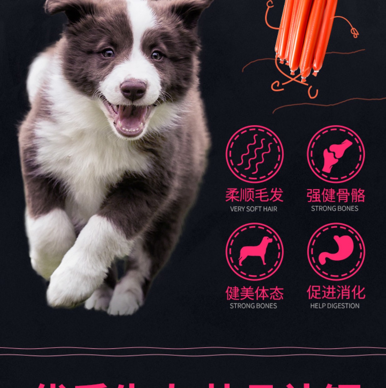 Đồ ăn nhẹ cho chó 30 xúc xích chó Xúc xích Teddy thức ăn vật nuôi giăm bông xúc xích chó trưởng thành chó con vật nuôi lông vàng dải thức ăn cho chó