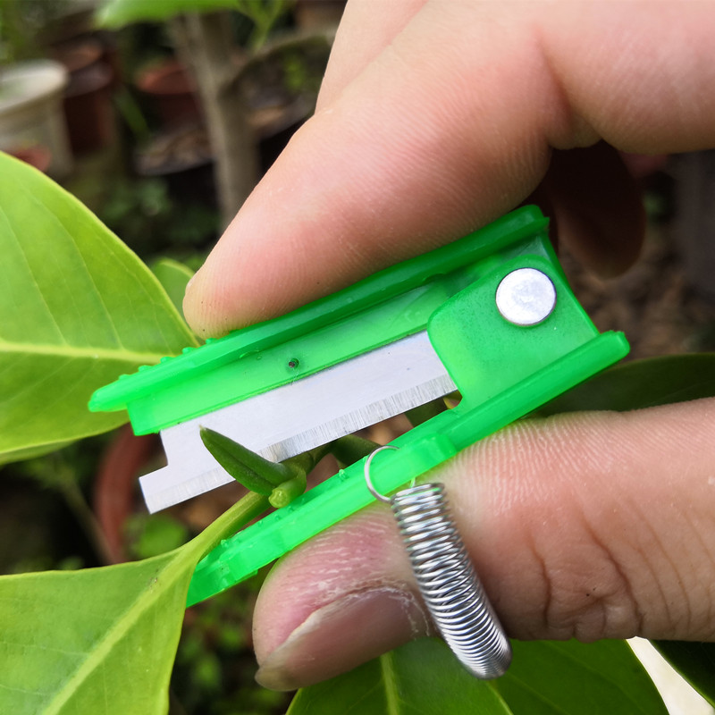 Picking fruit artifact sharpening device picker small guillotine knife grape pinching artifact pinching knife apple thinning flower thinning fruit scissors