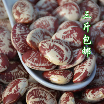 Farming fresh poached beans dry goods large-grain kidney bean dried zebra bean-shaped Yuan bean flower kidney bean seed grains 500g
