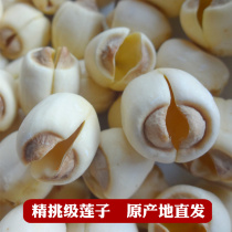 2021 new goods fine pick grade authentic Fujian Jianning handmade lotus seed to core Dry Goods 250g fresh white lotus seed Jianlian
