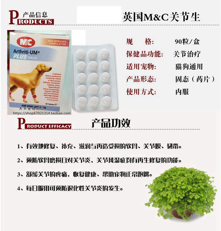 Sản phẩm chăm sóc sức khỏe thú cưng cho chó và mèo sữa cho chó mèo sơ sinh