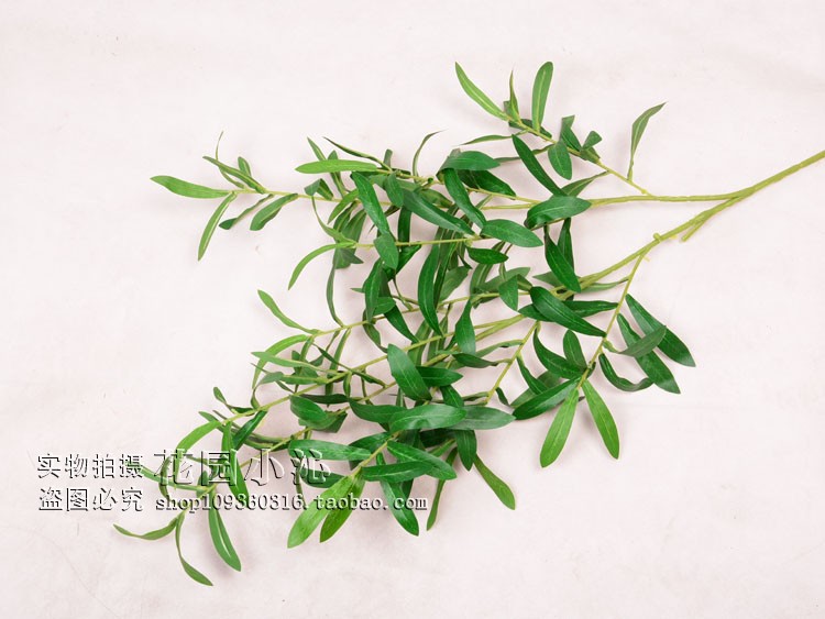 Lá đơn lá ô liu lá cây bạch đàn lá phong lá cây saponin mô phỏng cây lá xanh - Hoa nhân tạo / Cây / Trái cây hoa lan giả cao cấp