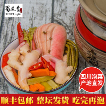 Shu delicacies Sichuan assorted kimchi pickled peppers under meals jars beans sauerkraut mother water old Brine pickles radish