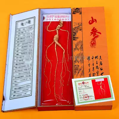 Ginseng gift box Mountain ginseng gift box Moving mountain ginseng Forest ginseng mountain ginseng 10 yuan with certificate with tote bag