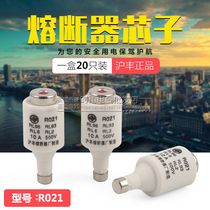 Ceramic Fuse R021 RO21 RL6 500V 2A4A6A10A16A25A Fuse Core HSBC