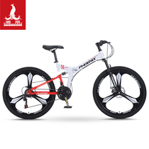 Phoenix Bike Folding Hill Land Car Homme Femme à vitesse variable hors route Élèves de voitures de course pour adultes