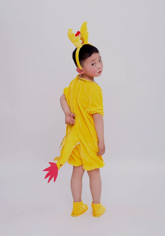 Trang phục biểu diễn của trẻ mẫu giáo quần áo biểu diễn quần áo khiêu vũ Xiao Qinglong 12 Cung hoàng đạo người quần áo người lớn váy đầm trẻ em 13 tuổi