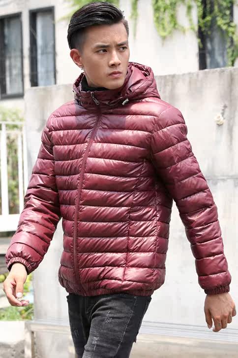 Blouson hiver pour homme   OTHER - Ref 3115185 Image 4