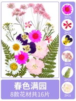 Весенний цвет в саду, сухой, 16 кусочков сухих цветочных мешков