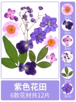 Фиолетовое цветочное поле, сухое, 12 кусочков сухих цветочных мешков