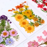 Смешанный образец ручной работы, набор материалов, «сделай сам», семейный стиль